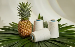 Banner ảnh dứa