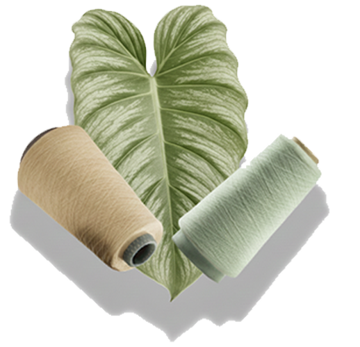 baotruongtex don vi san xuat soi eco